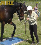 Fluke, Locket &amp; The Bramble