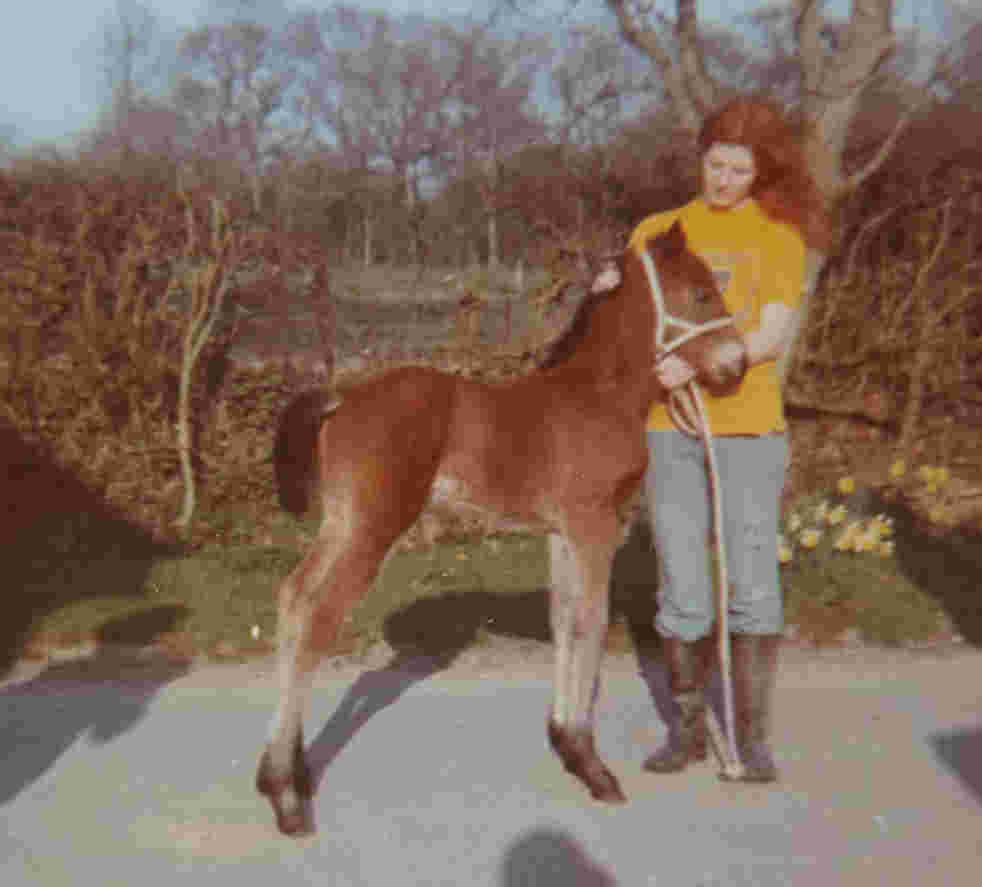 Sue Foal2